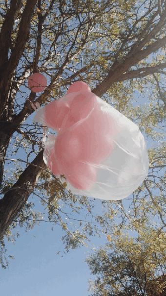 dsco-sample-3.gif, 2014 dsco-sample-3.gif