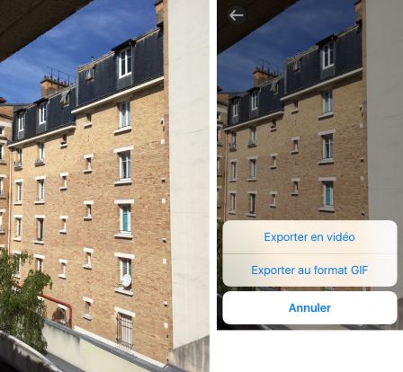 camera-for-live-photos-ios.jpg, 2016 camera-for-live-photos-ios.jpg