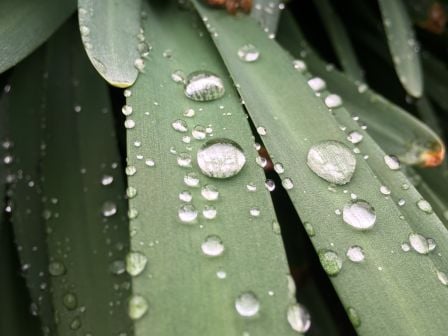 iphone-6s-photos-2.jpg, 2016 iphone-6s-photos-2.jpg