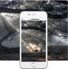 iphone-photography-awards-2016.jpg, 2016 iphone-photography-awards-2016.jpg