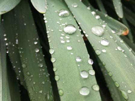iphone-se-photos-2.jpg, 2016 iphone-se-photos-2.jpg