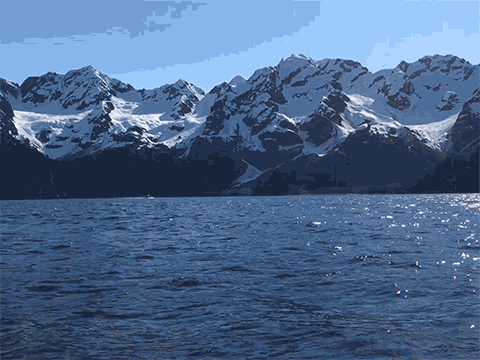 motion-stills-gif.gif, 2016 motion-stills-gif.gif