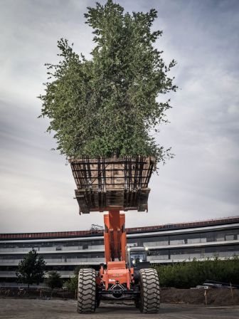 apple-park-visite-2.jpg, 2017 apple-park-visite-2.jpg