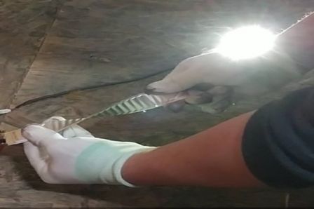 battery-flexible.jpg, 2017 battery-flexible.jpg