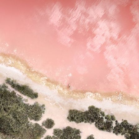 nouveau-fond-rose-gold.jpg, 2017 nouveau-fond-rose-gold.jpg