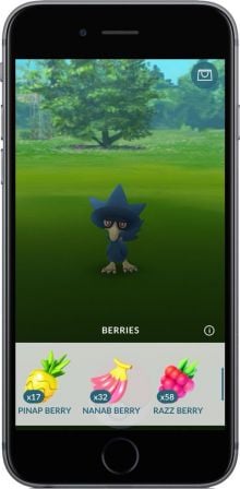 pokemon-go-nouvelles-baies.jpg, 2017 pokemon-go-nouvelles-baies.jpg