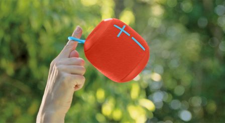 ue-wonderboom-2.jpg, 2017 ue-wonderboom-2.jpg