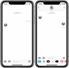 bug-imessage-emoji-ios-11-1.jpg, 2017 bug-imessage-emoji-ios-11-1.jpg