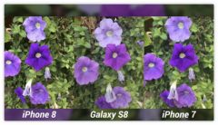 comparaison-photo-iphone-8-7-galaxy.jpg, 2017 comparaison-photo-iphone-8-7-galaxy.jpg