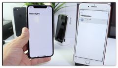 bug-plantage-iphone-ipad-mac.jpg, 2018 bug-plantage-iphone-ipad-mac.jpg