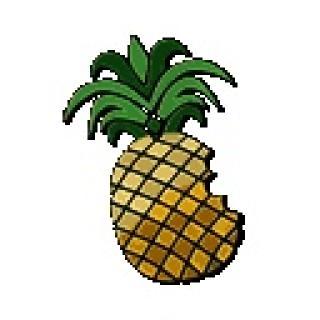 ananas1.jpeg, aoû 2008 ananas1.jpeg