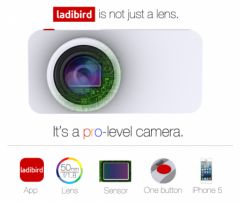 ladibird.jpg