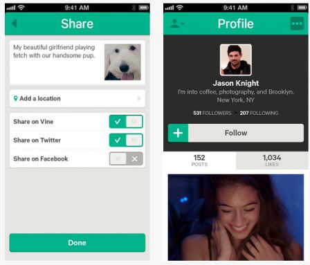 vine-2.jpg