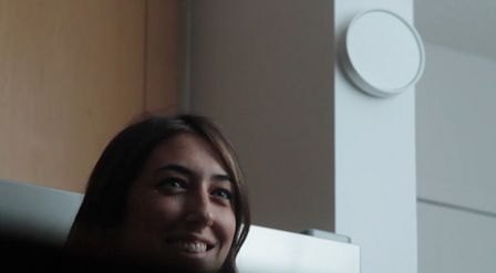 birdi3.jpg