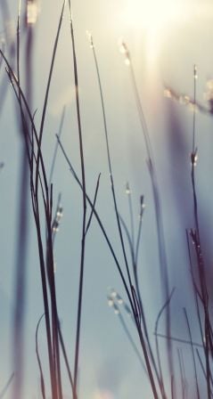 ios7wall15.jpg