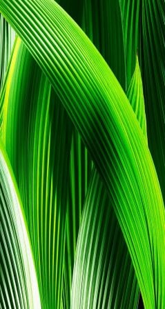ios7wall16.jpg