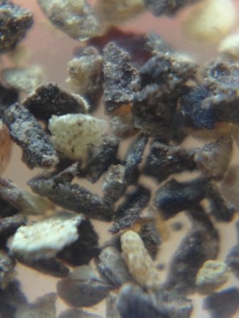 microscope3.jpg